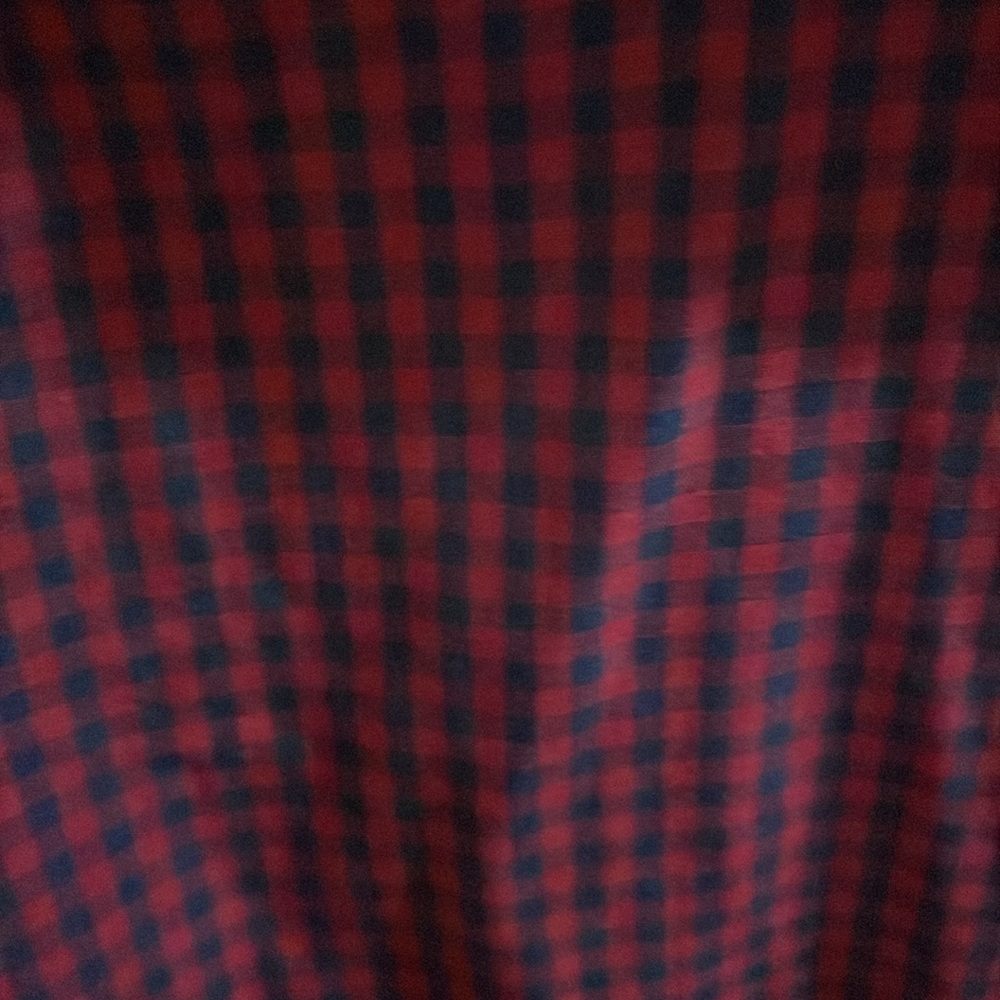 Zara Man Checkered Button Down In Red And Navy. W… - image 2